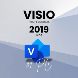 Visio 2019 Professional 1PC [BIND]