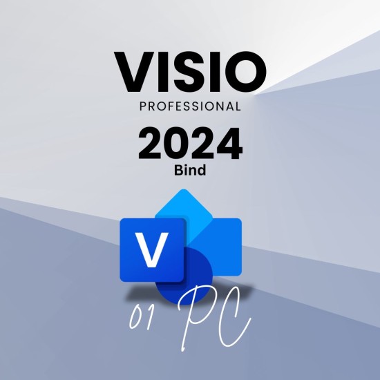 Visio 2024 Professional 1 User [BIND]