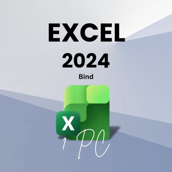 Excel 2024 1 User [Bind]