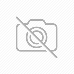 Excel 2024 1 User [Bind]
